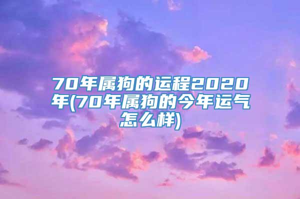 70年属狗的运程2020年(70年属狗的今年运气怎么样)