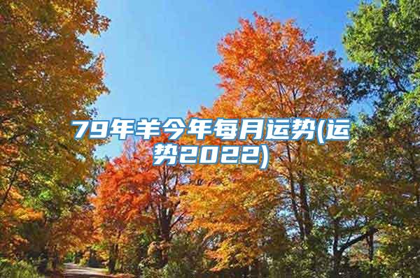 79年羊今年每月运势(运势2022)