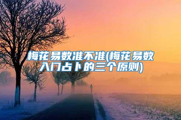 梅花易数准不准(梅花易数入门占卜的三个原则)