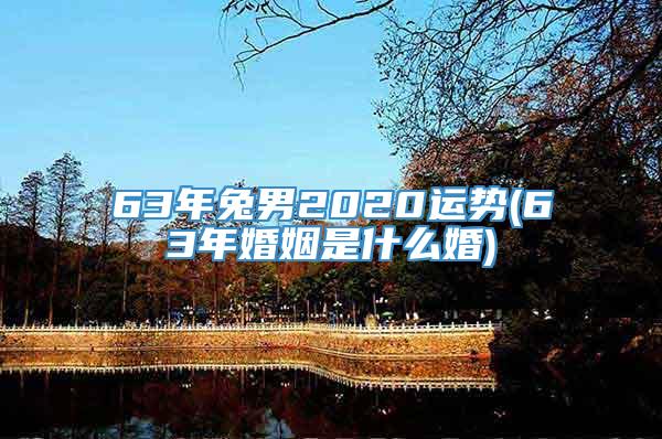 63年兔男2020运势(63年婚姻是什么婚)