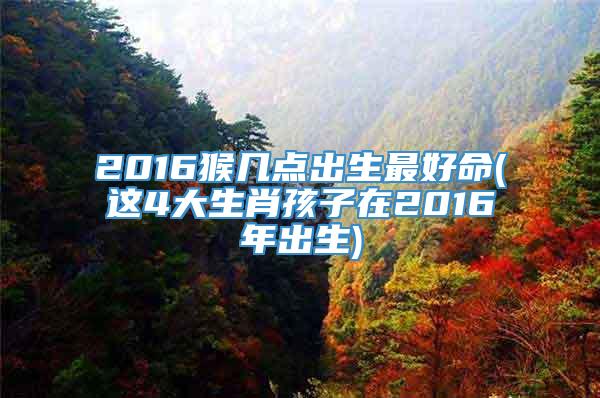 2016猴几点出生最好命(这4大生肖孩子在2016年出生)