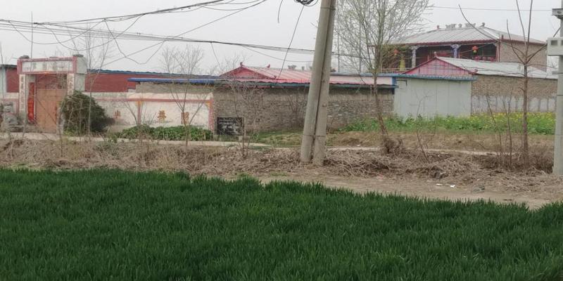 东明县算卦最准的是谁(小小芦岗古碑里的中国)