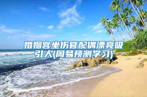 婚姻宫坐伤官配偶漂亮吸引人(周易预测学习)