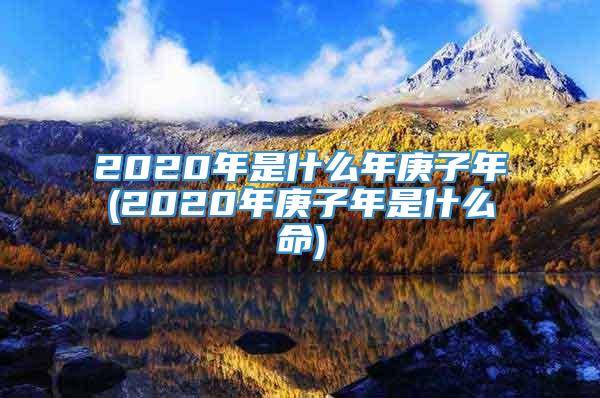 2020年是什么年庚子年(2020年庚子年是什么命)