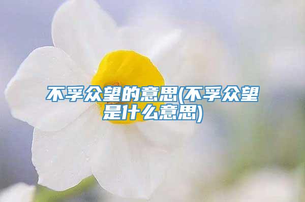 不孚众望的意思(不孚众望是什么意思)