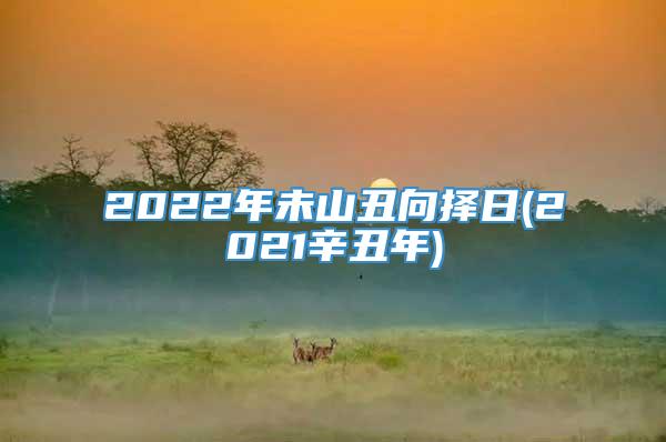 2022年未山丑向择日(2021辛丑年)