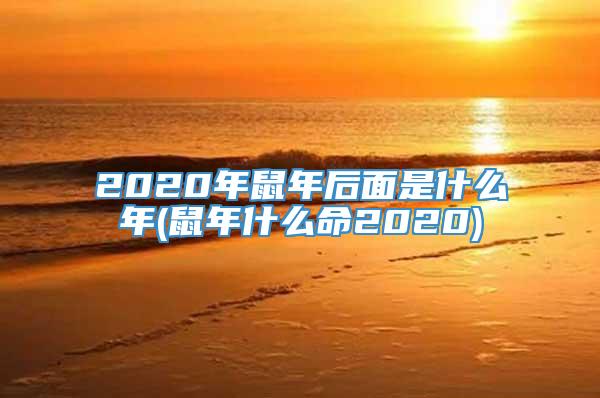 2020年鼠年后面是什么年(鼠年什么命2020)