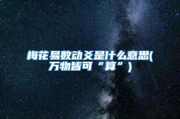 梅花易数动爻是什么意思(万物皆可“算”)