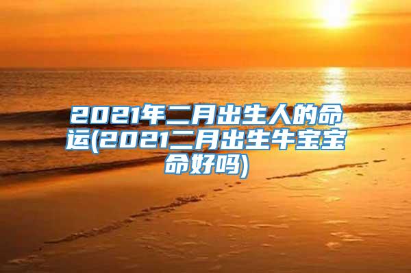 2021年二月出生人的命运(2021二月出生牛宝宝命好吗)