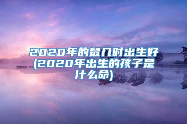 2020年的鼠几时出生好(2020年出生的孩子是什么命)