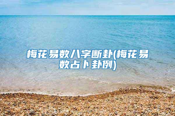 梅花易数八字断卦(梅花易数占卜卦例)