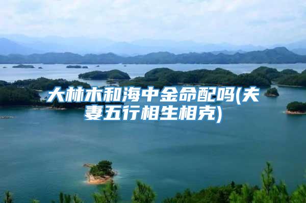 大林木和海中金命配吗(夫妻五行相生相克)