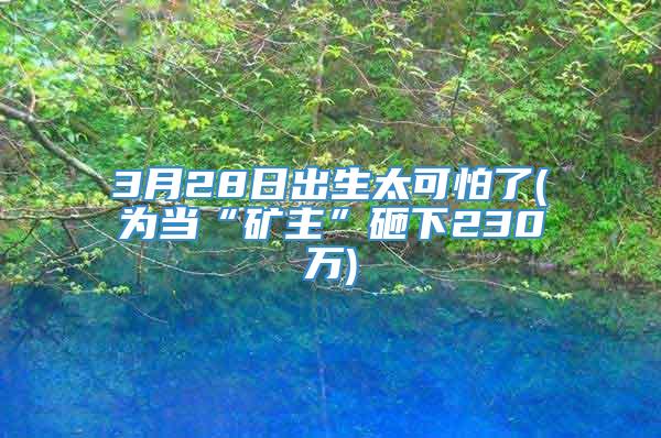 3月28日出生太可怕了(为当“矿主”砸下230万)