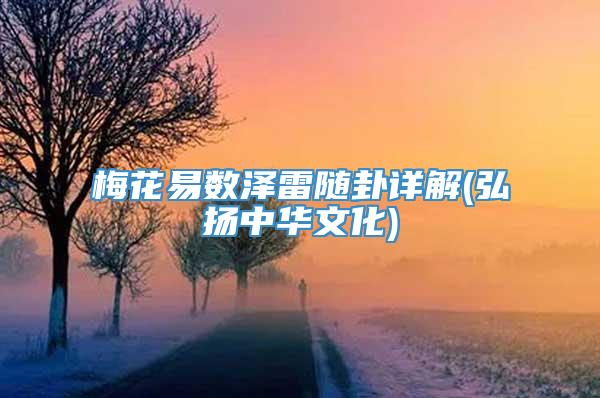 梅花易数泽雷随卦详解(弘扬中华文化)