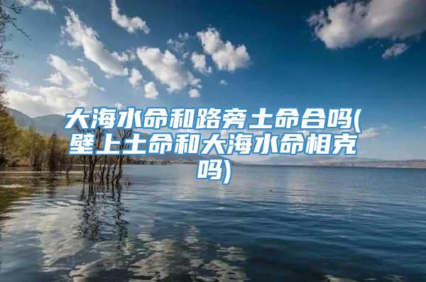大海水命和路旁土命合吗(壁上土命和大海水命相克吗)