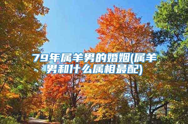 79年属羊男的婚姻(属羊男和什么属相最配)