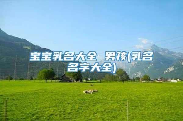 宝宝乳名大全 男孩(乳名名字大全)