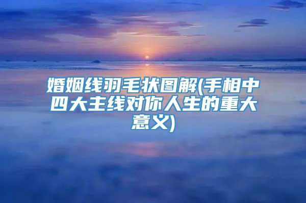 婚姻线羽毛状图解(手相中四大主线对你人生的重大意义)