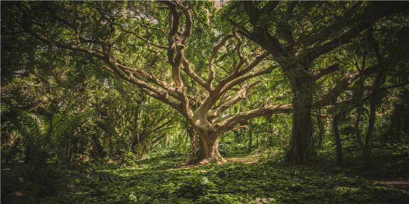 2022年几月出生是男宝宝(2022年几月份容易生男孩)