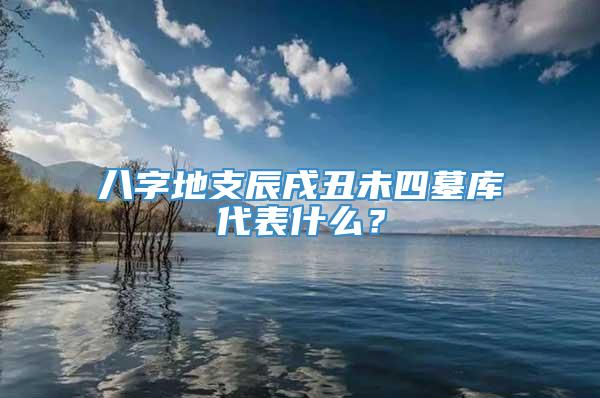 八字地支辰戌丑未四墓库代表什么？