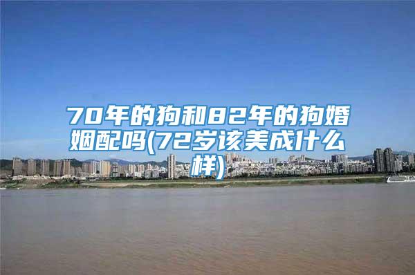 70年的狗和82年的狗婚姻配吗(72岁该美成什么样)