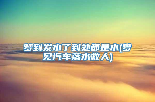 梦到发水了到处都是水(梦见汽车落水救人)