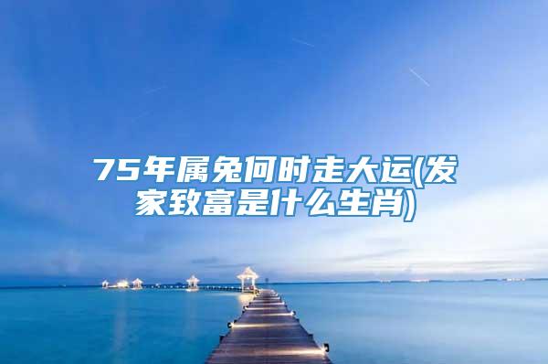 75年属兔何时走大运(发家致富是什么生肖)