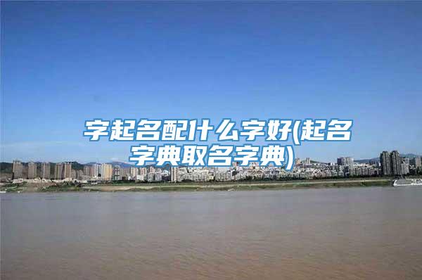 偲字起名配什么字好(起名字典取名字典)