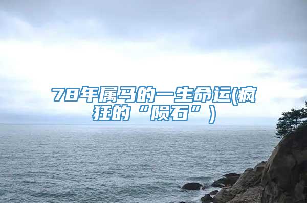 78年属马的一生命运(疯狂的“陨石”)
