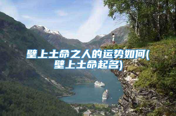壁上土命之人的运势如何(壁上土命起名)