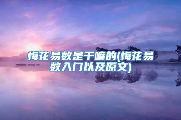 梅花易数是干嘛的(梅花易数入门以及原文)