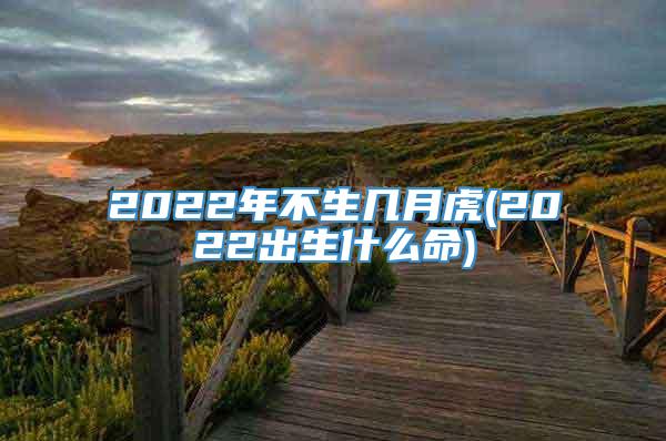 2022年不生几月虎(2022出生什么命)