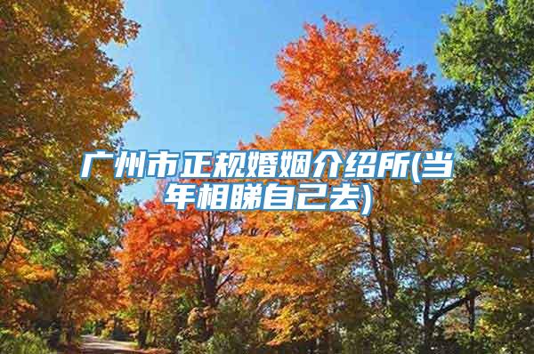 广州市正规婚姻介绍所(当年相睇自己去)
