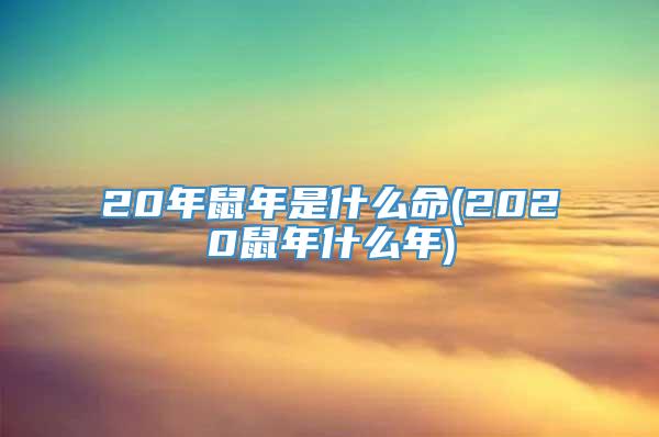 20年鼠年是什么命(2020鼠年什么年)