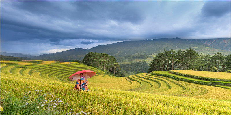 5800万年前地球的一次高烧，孕育出世上最大的蛇，以巨鳄为食