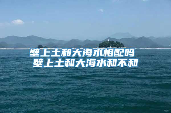 壁上土和大海水相配吗 壁上土和大海水和不和