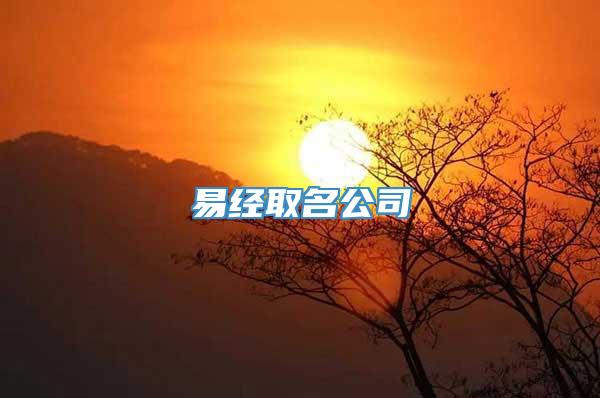 易经取名公司