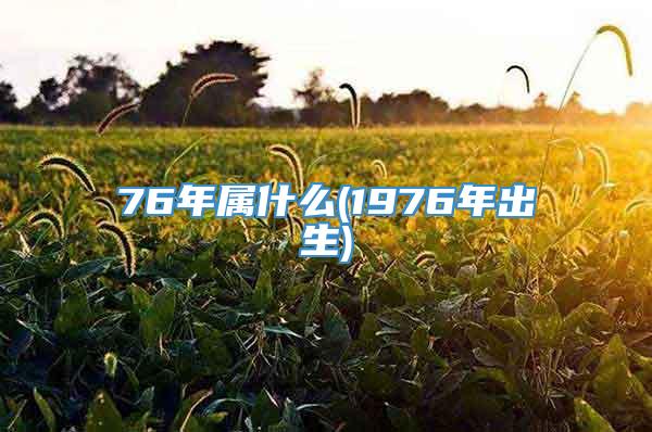 76年属什么(1976年出生)
