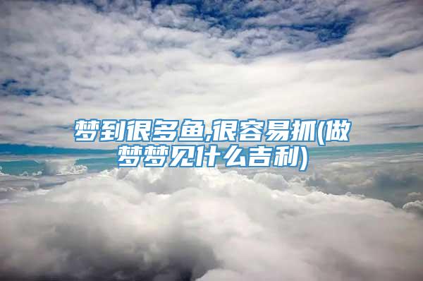 梦到很多鱼,很容易抓(做梦梦见什么吉利)