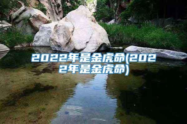 2022年是金虎命(2022年是金虎命)