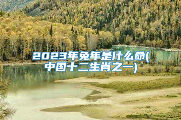 2023年兔年是什么命(中国十二生肖之一)