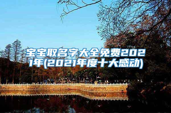 宝宝取名字大全免费2021年(2021年度十大感动)