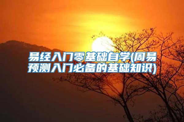 易经入门零基础自学(周易预测入门必备的基础知识)