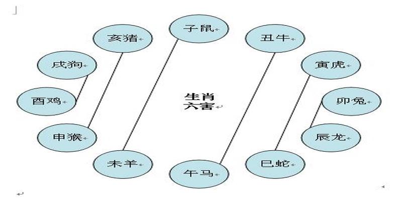 十二生肖的合、冲、害、刑