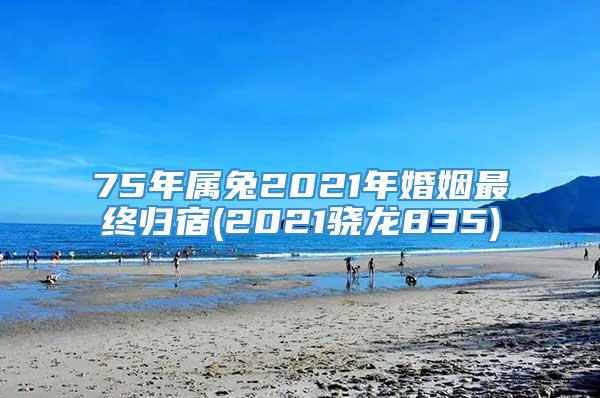 75年属兔2021年婚姻最终归宿(2021骁龙835)