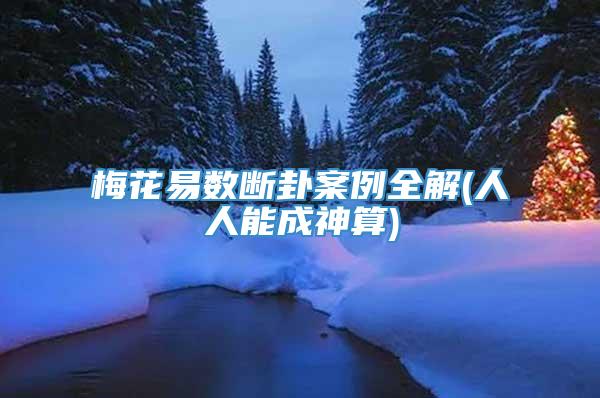 梅花易数断卦案例全解(人人能成神算)