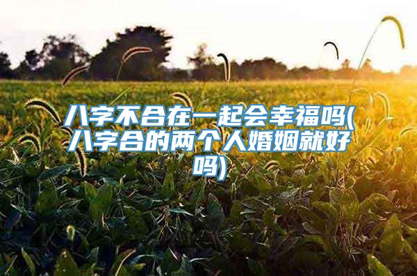 八字不合在一起会幸福吗(八字合的两个人婚姻就好吗)