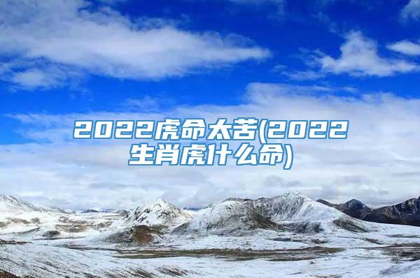 2022虎命太苦(2022生肖虎什么命)