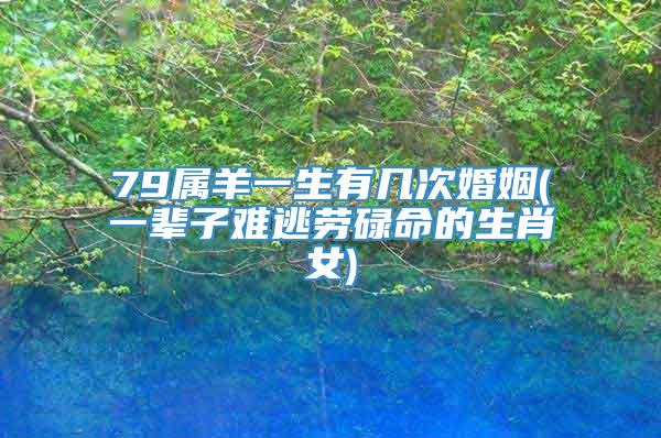 79属羊一生有几次婚姻(一辈子难逃劳碌命的生肖女)