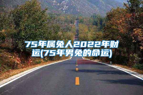 75年属兔人2022年财运(75年男兔的命运)